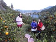 񂿂̃pp̍Rό݂񉀂̓eʐ^1