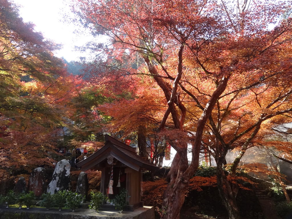 さくら夙川駅周辺の観光スポットランキングtop10 7ページ目 じゃらんnet