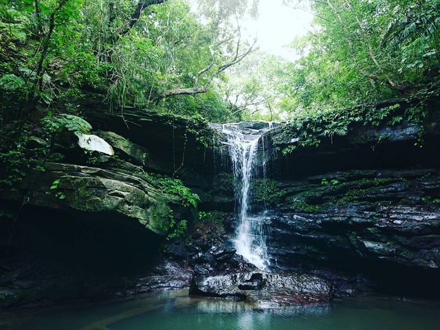 �N�[���̑��_motti�@���\���g���b�L���O�G�R�c�A�[