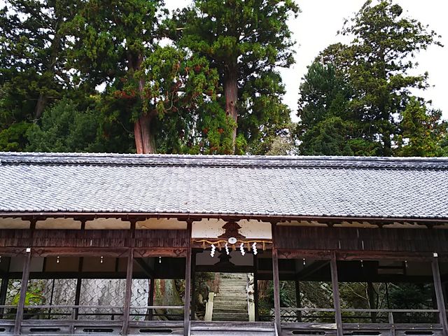 ����_�z�v���_��