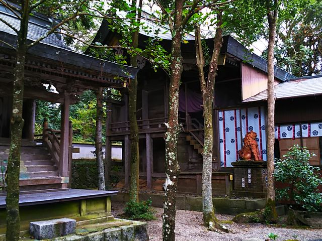 �{�a_�z�v���_��