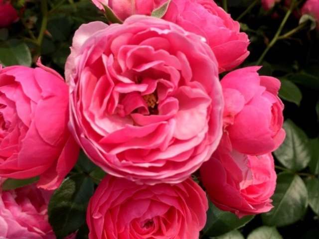 �o��_�����o����