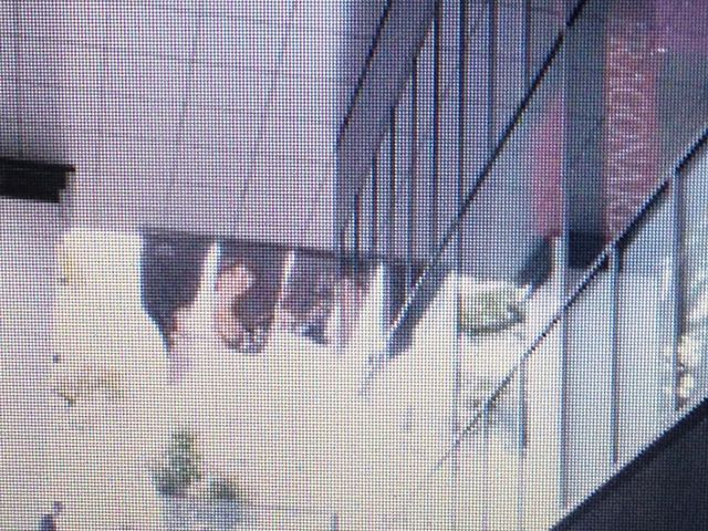 ���p��_���}�U�L�}�U�b�N���p��