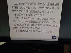 �T�[�x���^�C�K�[����̑��s���p���R�j�قւ̓��e�ʐ^1