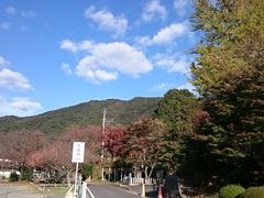 񂿂񂳂̑Rւ̓eʐ^1