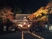 ���߂��낤����̓��\�_�Ђ̓��e�ʐ^2