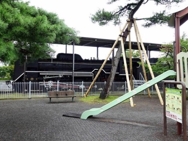 D51_������