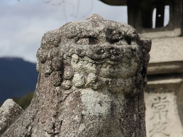 Yanwenli̕c̓m̓eʐ^6