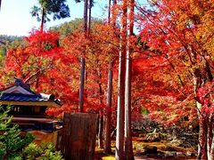 傤񃊃][gs̍gt̎ʐ^1