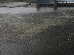 Kuda12����̉H���搅���ւ̓��e�ʐ^1