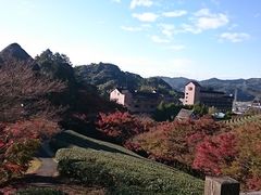スヌ夫さんの慧洲園の紅葉の投稿写真1