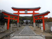 coffee̓VcƉ@̓eʐ^1