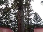 h`bN̐zK_Ђ̑XM̓eʐ^1