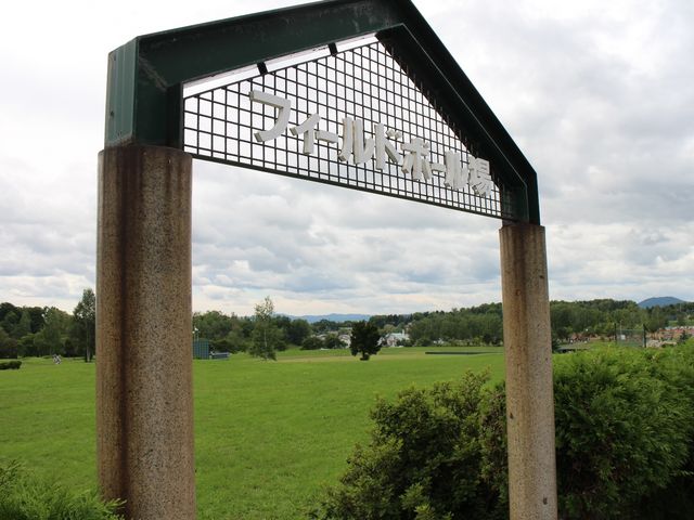 �t�B�[���h�{�[����_�t�B�[���h�{�[����