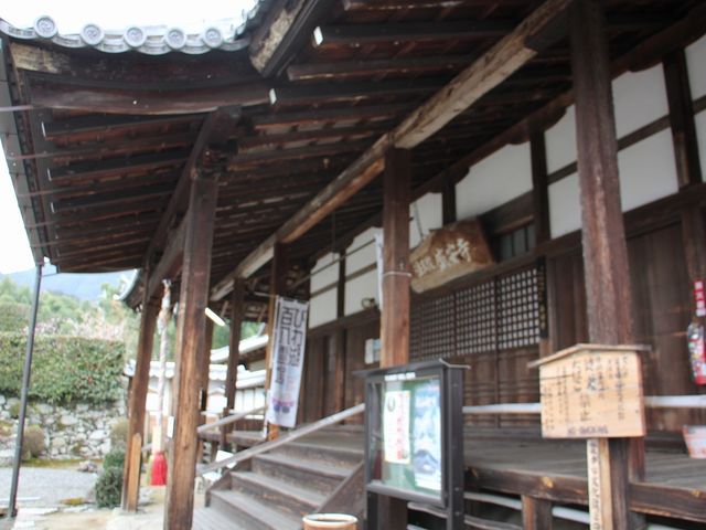 �{���ł��B_������