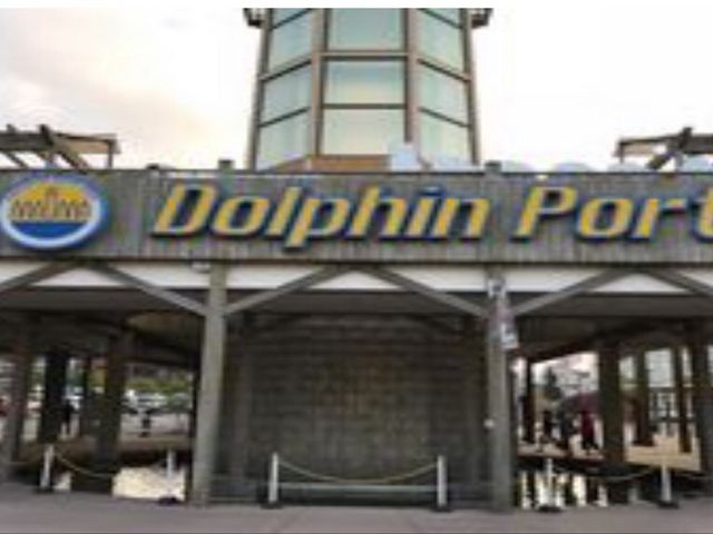 �h���t�B���|�[�g_�h���t�B���|�[�g