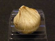 C[XgEbĥ˂EVhc}X̓eʐ^3