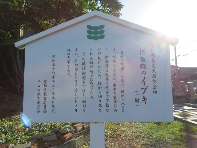 Ԃ񂳂̐ێ@̃CuL̓eʐ^2