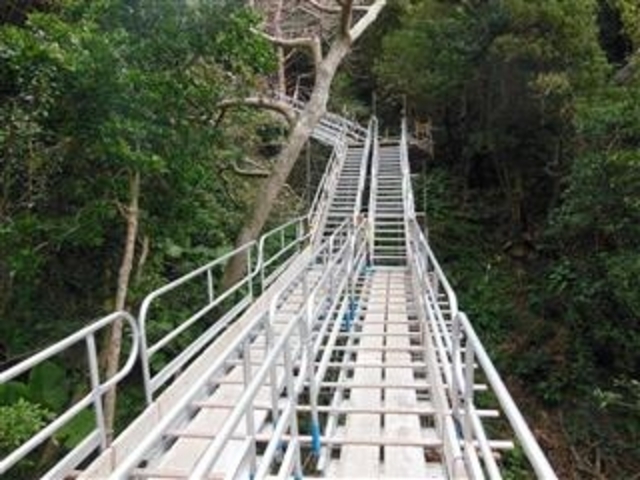 Hӏ̒ʘHiH31.2.25ɂ͊i2018.11.12Bej_W]