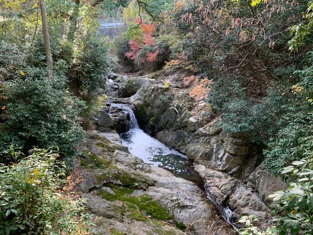 �~�Ղ̑�_���Ԏ�