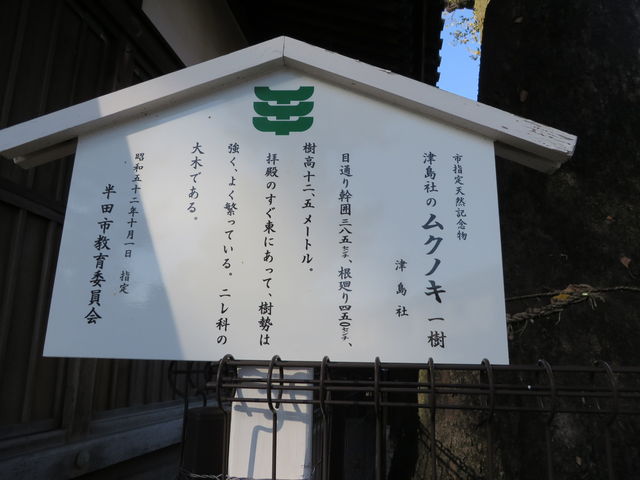 Ԃ񂳂̒ÓГVũNmL̓eʐ^1