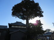 Ԃ񂳂̐ێ@̃CuL̓eʐ^1