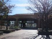 Ԃ񂳂̔cs}فEق̓eʐ^1