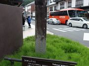 �g�����\����̒��Γ��̓��e�ʐ^1