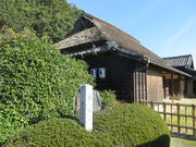 Ԃ񂳂̓g̗{Ƃ̓eʐ^2