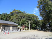 Ԃ񂳂̔R_Ђ̃N}c̓eʐ^1