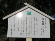 Ԃ񂳂̏핟@̃\ec̓eʐ^1