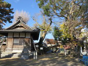 Ԃ񂳂̒ÓГVũNmL̓eʐ^2