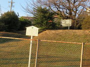 Ԃ񂳂̑卂R×q̓eʐ^2