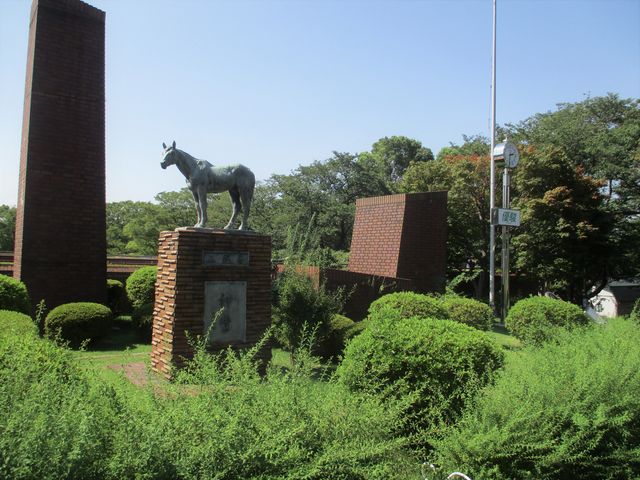馬の博物館(根岸競馬記念公苑)】アクセス・営業時間・料金情報 馬の博物館(根岸競馬記念公苑)】アクセス・営業時間・料金情報