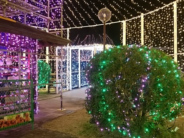 ܂܂̃K[nbg JTX̓eʐ^1