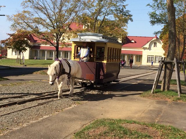 �k�C���J��̑�