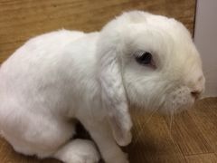 AnnâJtF@тсyr܁zւ̓eʐ^1