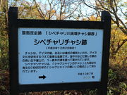 kukĩVx`̃`VՂ̓eʐ^1