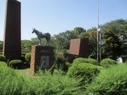 yM̔n̔فi݋nLOj̓eʐ^1