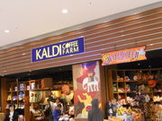 񂳂̃JfBR[q[t@[ eX[ÓX̓eʐ^1