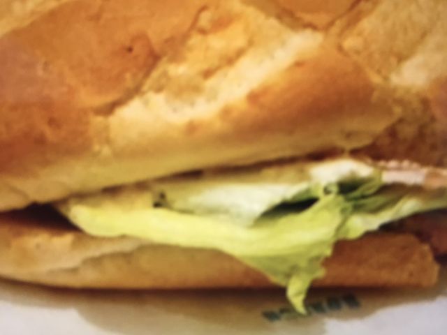 }񂳂̃hg[R[q[VbvJRÐwX̓eʐ^1