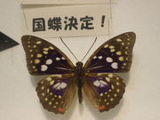 ����������̃I�I�����T�L�Z���^�[�̓��e�ʐ^1