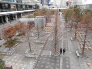 ayukononi̕iZgK[f̓eʐ^1