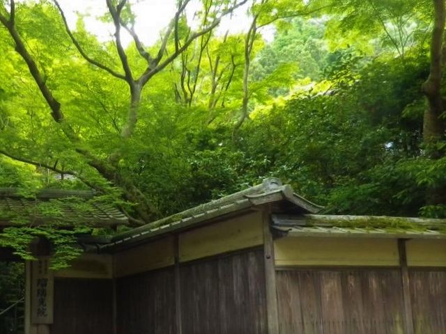 �ڗ����@_�ڗ����@