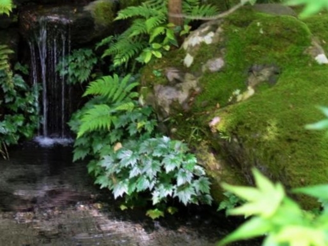 �������ڗ����@_�ڗ����@