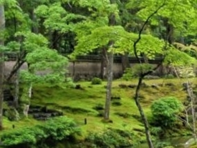 �ۈ�ʂ̗΂̐��E_���F��