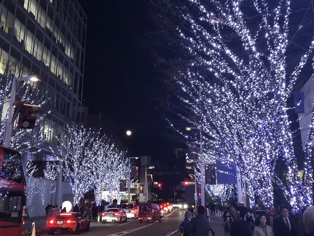 C~l[Vo[WłBԂ܂_Z{؃qY