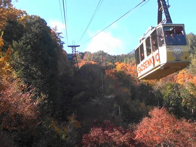 ���[�v�E�F�C_���勬���[�v�E�F�C�p�m���}��