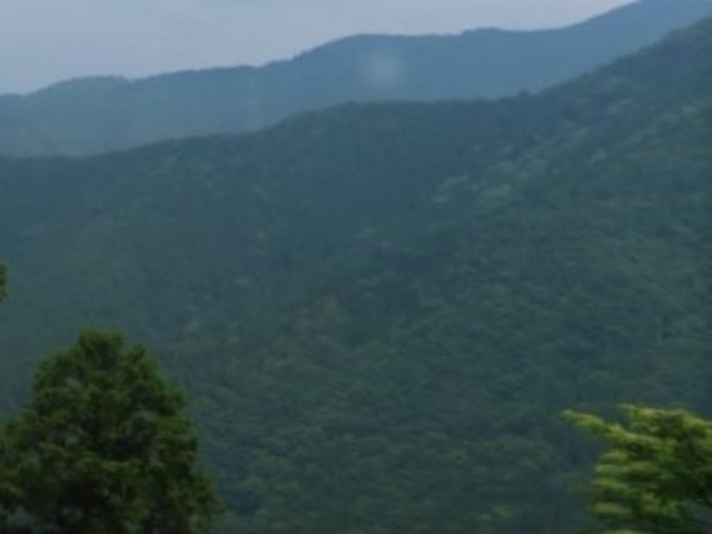 ����R�w�QF�ɂ������W�]������̒��]_��C�d�S����R�w