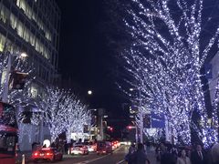 C}}̘Z{؃qYւ̓eʐ^1